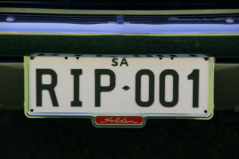 IMGP8196