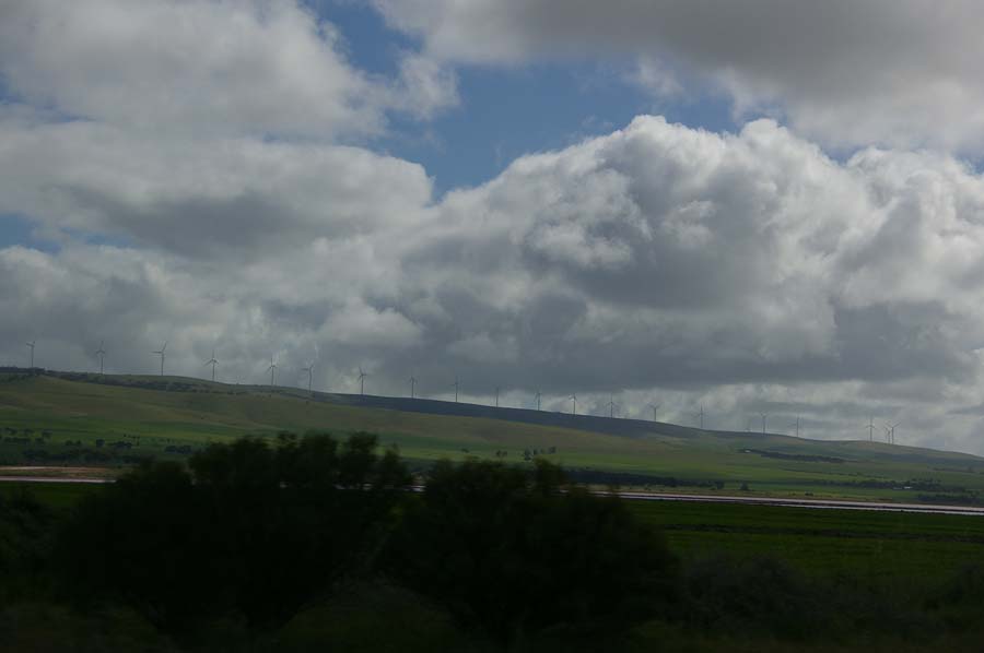 IMGP1326