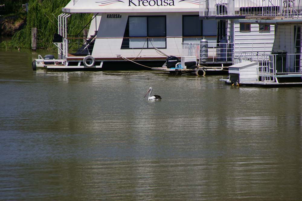 IMGP2702
