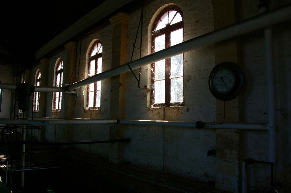 IMGP2738