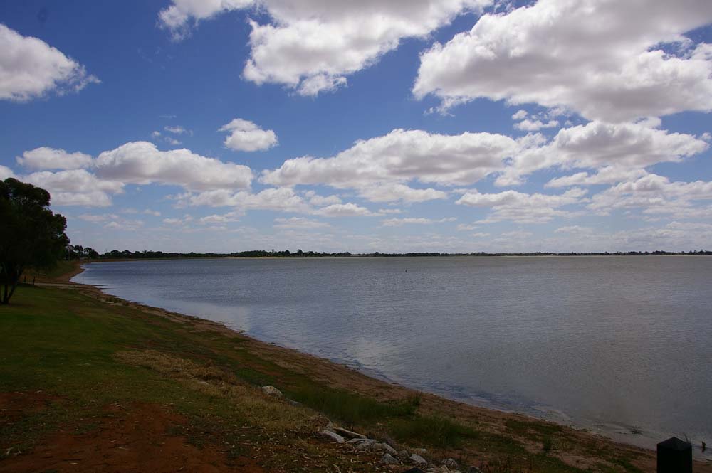 IMGP3017