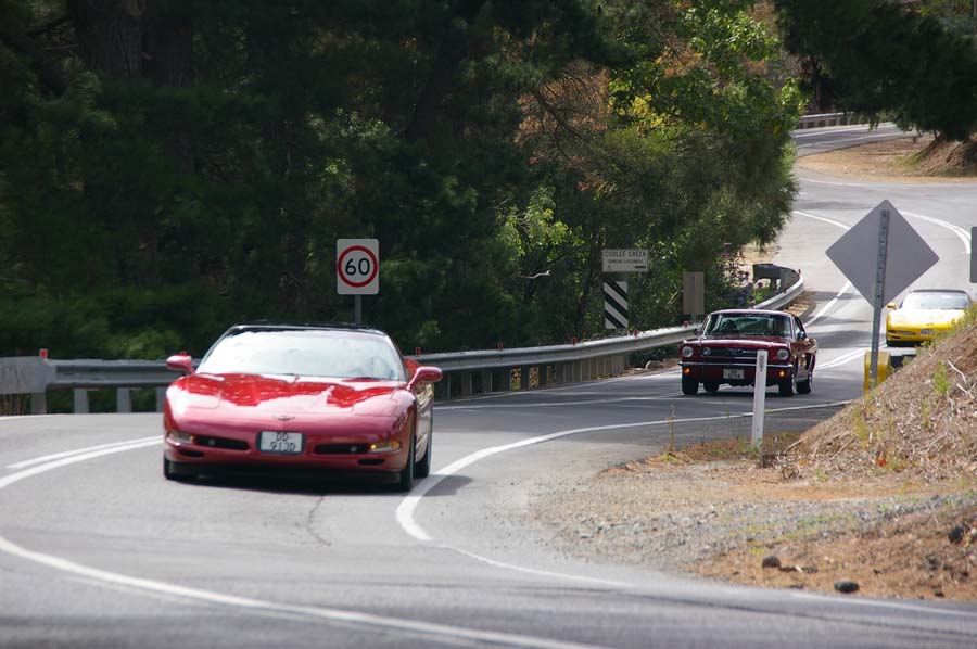 IMGP3843
