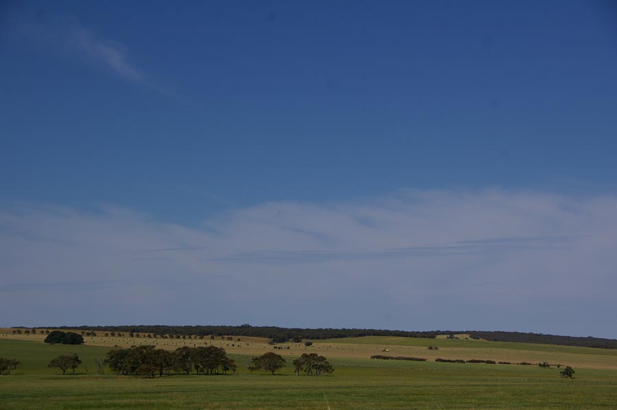 IMGP1293