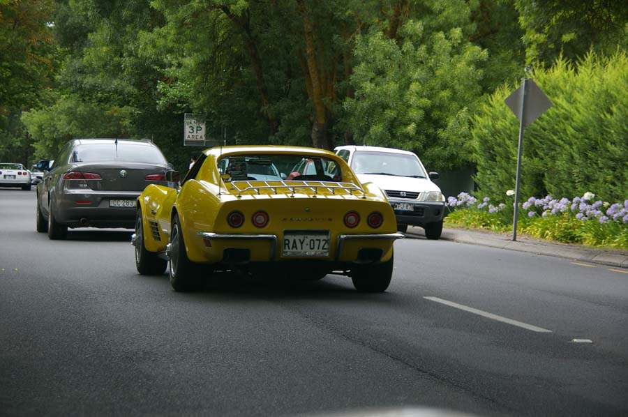 IMGP3531