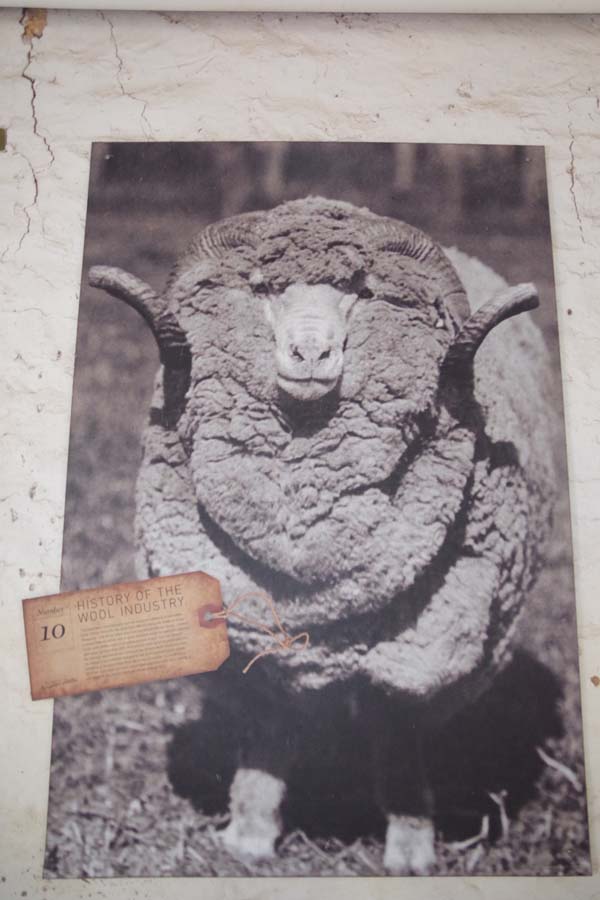 IMGP1987