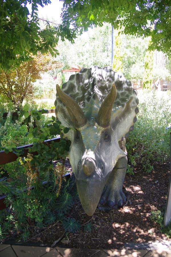 IMGP1361